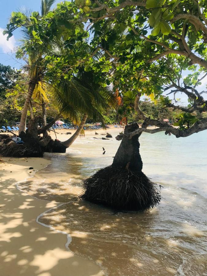 Oasis En La Naturaleza Rancho Alto Bonito Las Galeras Bagian luar foto