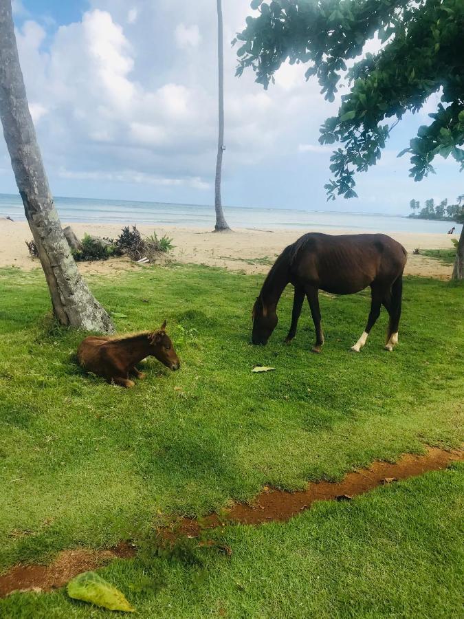 Oasis En La Naturaleza Rancho Alto Bonito Las Galeras Bagian luar foto